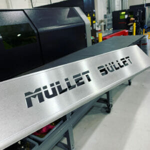 mullet-bullet